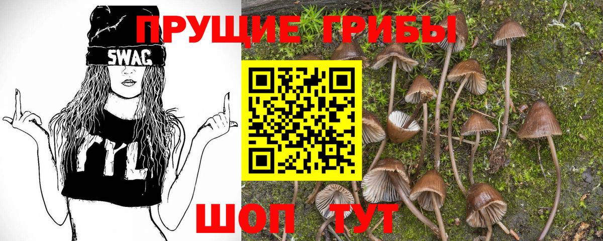 Галлюциногенные грибы мицелий Тобольск
